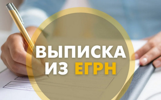 Спрос на сведения ЕГРН среди жителей Новосибирской области увеличился в два раза