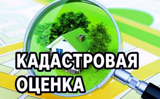 Все земельные участки Новосибирской области переоценят в 2026 году